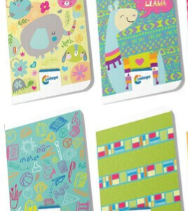 CUADERNO MONITOR T/FLEX 48HJS RAYADO