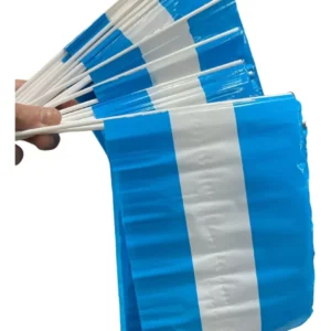 BANDERA CHICA CON PALITO